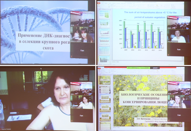 20200721ylelsjlh2.jpg