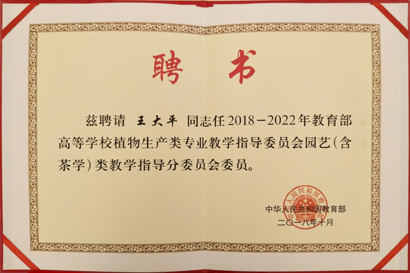 20190105jzwwy.jpg